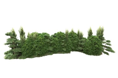 Beyaz arka planda ağaçlar olan bir ada. 3d görüntüleme - illüstrasyon