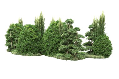 Beyaz arka planda ağaçlar olan bir ada. 3d görüntüleme - illüstrasyon