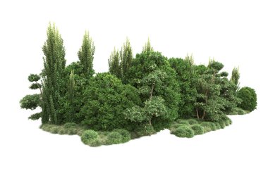 Beyaz arka planda ağaçlar olan bir ada. 3d görüntüleme - illüstrasyon