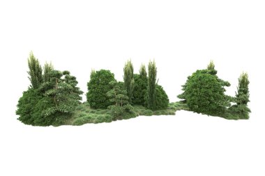 Beyaz arka planda ağaçlar olan bir ada. 3d görüntüleme - illüstrasyon