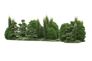 Beyaz arka planda ağaçlar olan bir ada. 3d görüntüleme - illüstrasyon