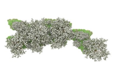 Beyaz arkaplanda yeşil çiçekli ağaçlar 