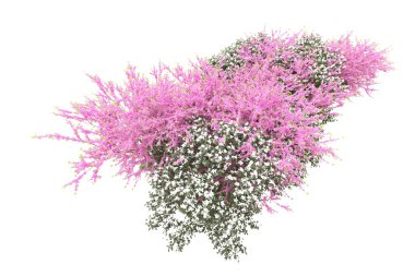 Beyaz arkaplanda yeşil çiçekli ağaçlar 