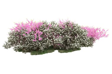 Beyaz arkaplanda yeşil çiçekli ağaçlar 