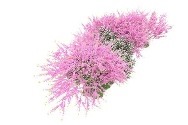 Beyaz arkaplanda yeşil çiçekli ağaçlar 