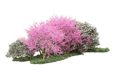 Beyaz arkaplanda yeşil çiçekli ağaçlar 