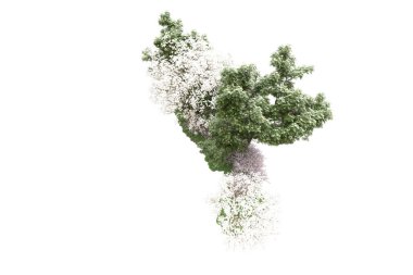 Beyaz arkaplanda yeşil çiçekli ağaçlar 