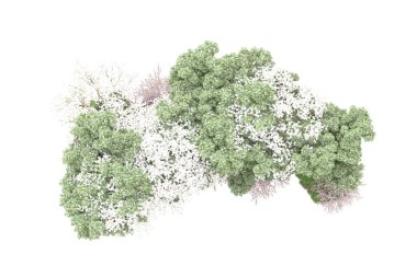 Beyaz arkaplanda yeşil çiçekli ağaçlar 