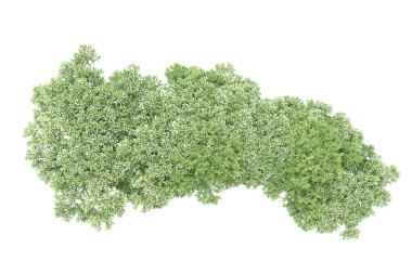 Beyaz arkaplanda yeşil çiçekli ağaçlar 