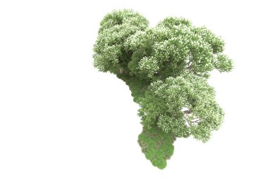 Beyaz arkaplanda yeşil çiçekli ağaçlar 