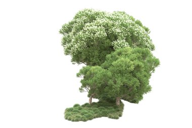 Beyaz arkaplanda yeşil çiçekli ağaçlar 