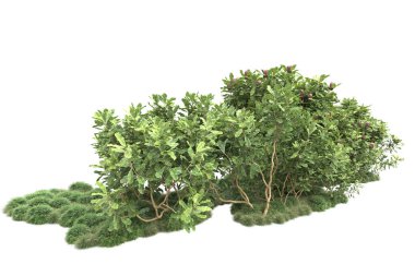 Fotokopi alanı için beyaz zemin üzerinde izole edilmiş gerçekçi ağaçlar.