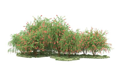 Fotokopi alanı için beyaz zemin üzerinde izole edilmiş gerçekçi ağaçlar.