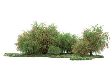 Fotokopi alanı için beyaz zemin üzerinde izole edilmiş gerçekçi ağaçlar.