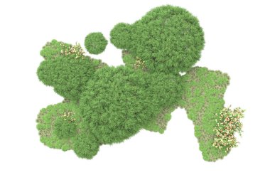 Fotokopi alanı için beyaz zemin üzerinde izole edilmiş gerçekçi ağaçlar.