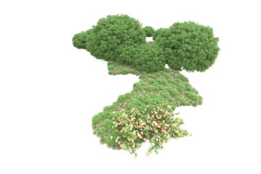 Fotokopi alanı için beyaz zemin üzerinde izole edilmiş gerçekçi ağaçlar.