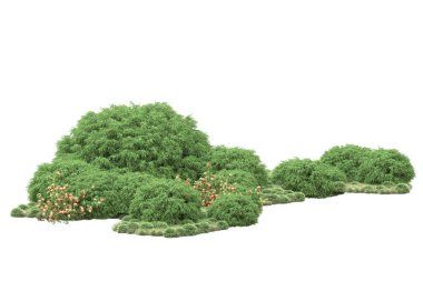 Fotokopi alanı için beyaz zemin üzerinde izole edilmiş gerçekçi ağaçlar.