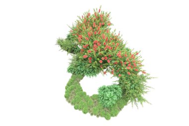 yeşil bitkiler, beyaz arkaplanda izole çiçekler 