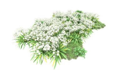 yeşil bitkiler, beyaz arkaplanda izole çiçekler 