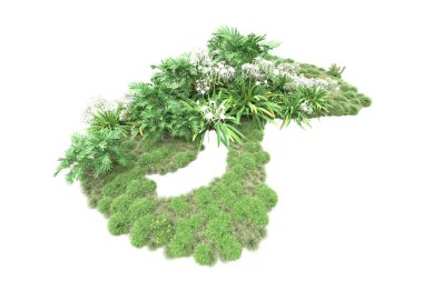 yeşil bitkiler, beyaz arkaplanda izole çiçekler 