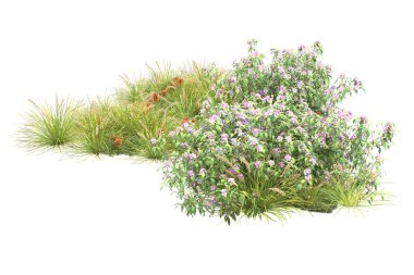 Orman ıssız. Görüntü pankartlar, posterler ya da fotoğraf manipülasyonları için kullanışlı. 3d görüntüleme - illüstrasyon