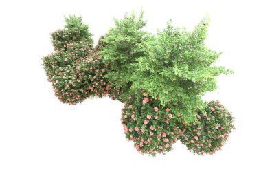 Orman ıssız. Görüntü pankartlar, posterler ya da fotoğraf manipülasyonları için kullanışlı. 3d görüntüleme - illüstrasyon