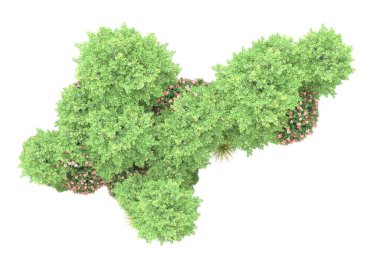 Orman ıssız. Görüntü pankartlar, posterler ya da fotoğraf manipülasyonları için kullanışlı. 3d görüntüleme - illüstrasyon