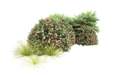 Orman ıssız. Görüntü pankartlar, posterler ya da fotoğraf manipülasyonları için kullanışlı. 3d görüntüleme - illüstrasyon