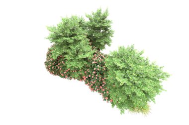 Orman ıssız. Görüntü pankartlar, posterler ya da fotoğraf manipülasyonları için kullanışlı. 3d görüntüleme - illüstrasyon