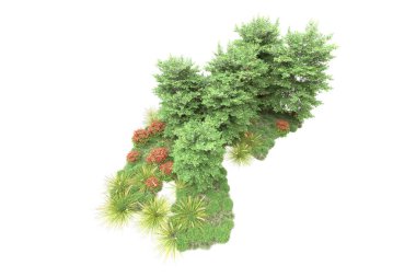 Beyaz arka planda izole edilmiş gerçekçi yeşil ağaçlar, park bitkisi konsepti 