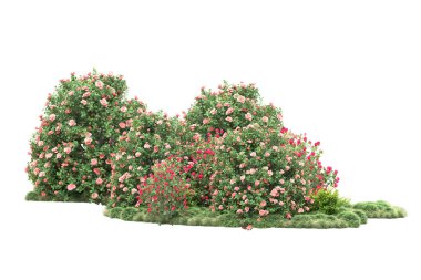 Çalılıklardaki çiçekler, beyazdaki yeşil yapraklı ağaçlar, kopyalama alanı için arkaplan