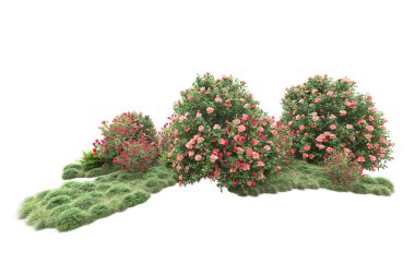 Çalılıklardaki çiçekler, beyazdaki yeşil yapraklı ağaçlar, kopyalama alanı için arkaplan