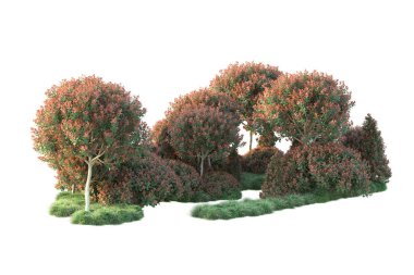 Beyaz arkaplanda izole edilmiş sonbahar ağaçları, 3d illüstrasyon