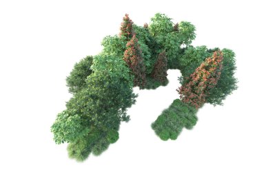 Beyaz arkaplanda izole edilmiş sonbahar ağaçları, 3d illüstrasyon