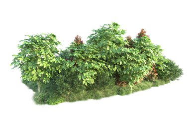 Beyaz arkaplanda izole edilmiş sonbahar ağaçları, 3d illüstrasyon