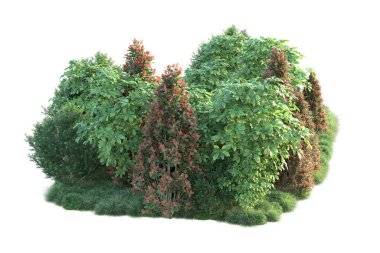 sonbahar yaprakları, beyaz arkaplanda izole edilmiş ağaçlar, 3d illüstrasyon