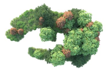 Orman yaprakları, beyaz arka planda izole edilmiş ağaçlar, 3 boyutlu illüstrasyon