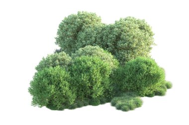 Orman yaprakları, beyaz arka planda izole edilmiş ağaçlar, 3 boyutlu illüstrasyon