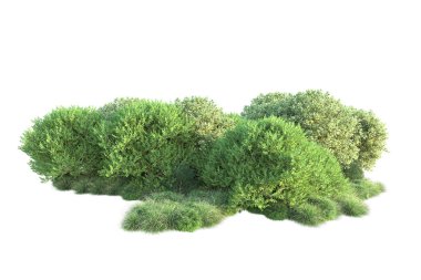 Orman yaprakları, beyaz arka planda izole edilmiş ağaçlar, 3 boyutlu illüstrasyon