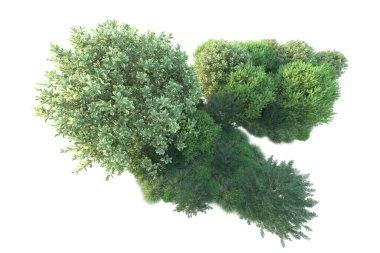 Orman yaprakları, beyaz arka planda izole edilmiş ağaçlar, 3 boyutlu illüstrasyon