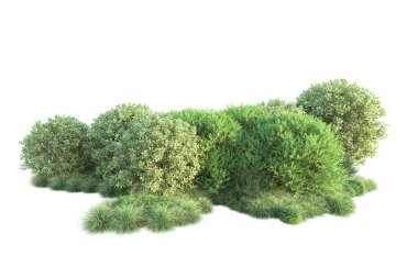 beyaz arkaplan ve orman ağaçları, 3D illüstrasyon