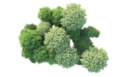 beyaz arkaplan ve orman ağaçları, 3D illüstrasyon