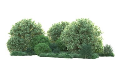 beyaz arkaplan ve orman ağaçları, 3D illüstrasyon