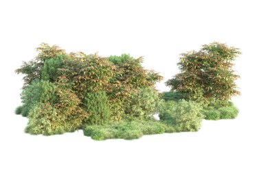 3 boyutlu illüstrasyon. Beyaz arka plan ve yeşil yapraklı orman ağaçları 