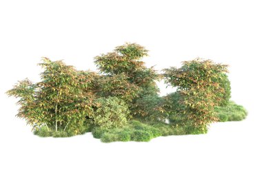 3 boyutlu illüstrasyon. Beyaz arka plan ve yeşil yapraklı orman ağaçları 