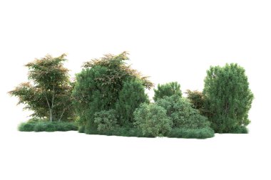 Yeşil yapraklı orman ağaçlarının 3D çizimi, beyaz arka planda izole edilmiş park bitkisi 