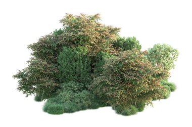 Beyaz üzerine izole edilmiş yeşil ağaçlar, kopyalama alanı için arkaplan