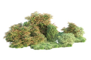 Beyaz üzerine izole edilmiş yeşil ağaçlar, kopyalama alanı için arkaplan