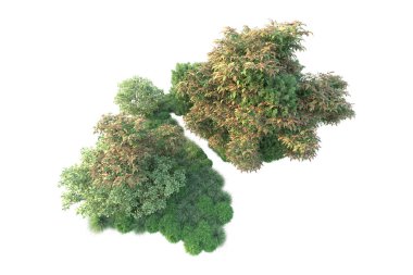 Beyaz üzerine izole edilmiş yeşil ağaçlar, kopyalama alanı için arkaplan