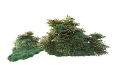 Beyaz üzerine izole edilmiş yeşil ağaçlar, kopyalama alanı için arkaplan